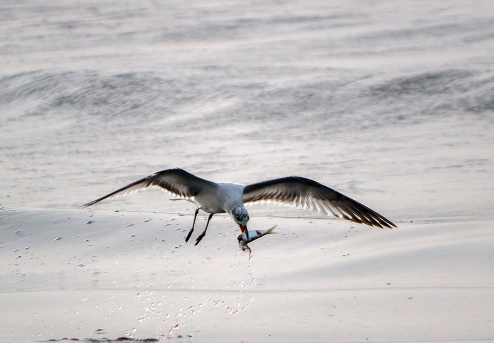 Фотография автора Ismail SAIDI
