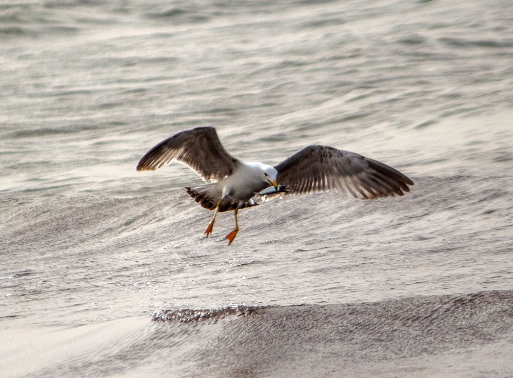 Фотография автора Ismail SAIDI
