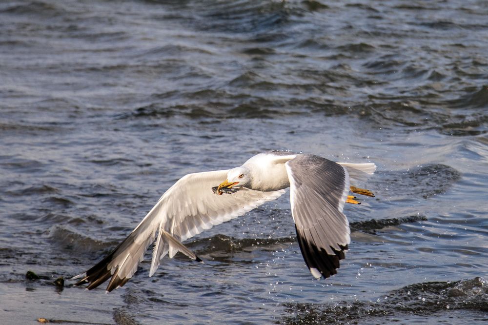 Фотография автора Ismail SAIDI