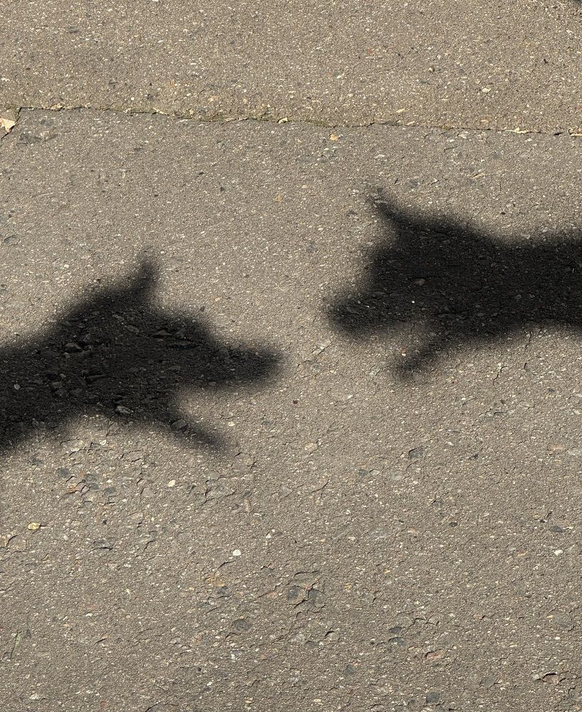 Photograph by Елена Смирнова