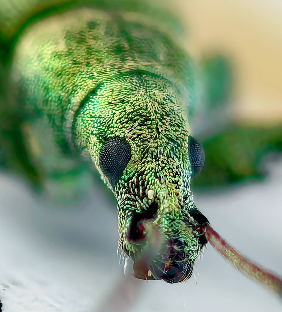 Photograph by Анна Епанчинцева