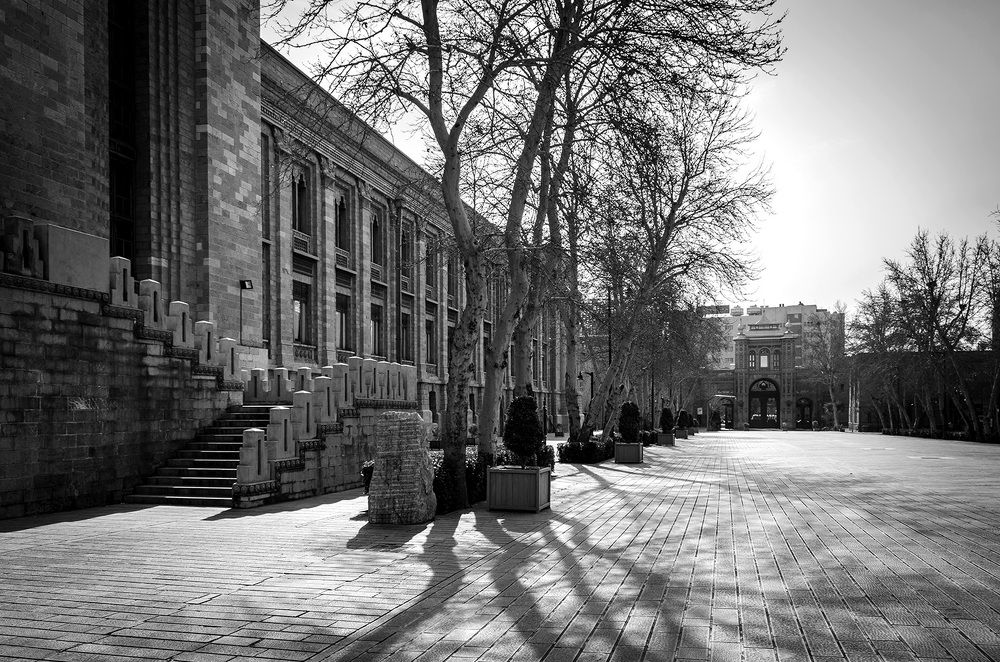 Photograph by Sahar Jafari