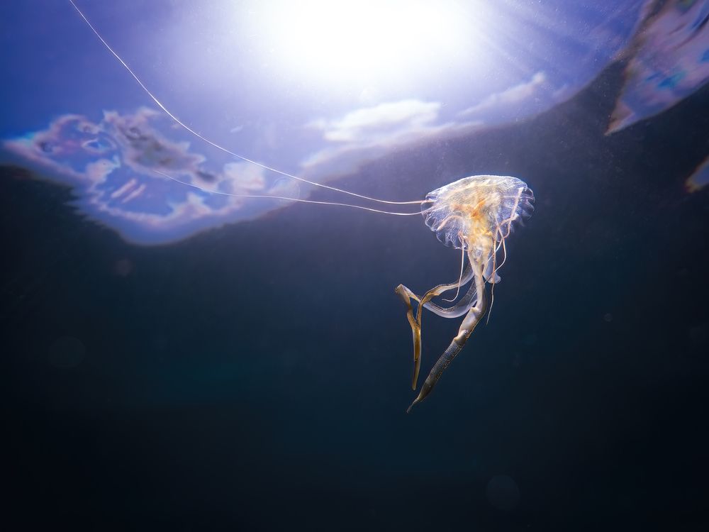 Photograph by Vo Rin