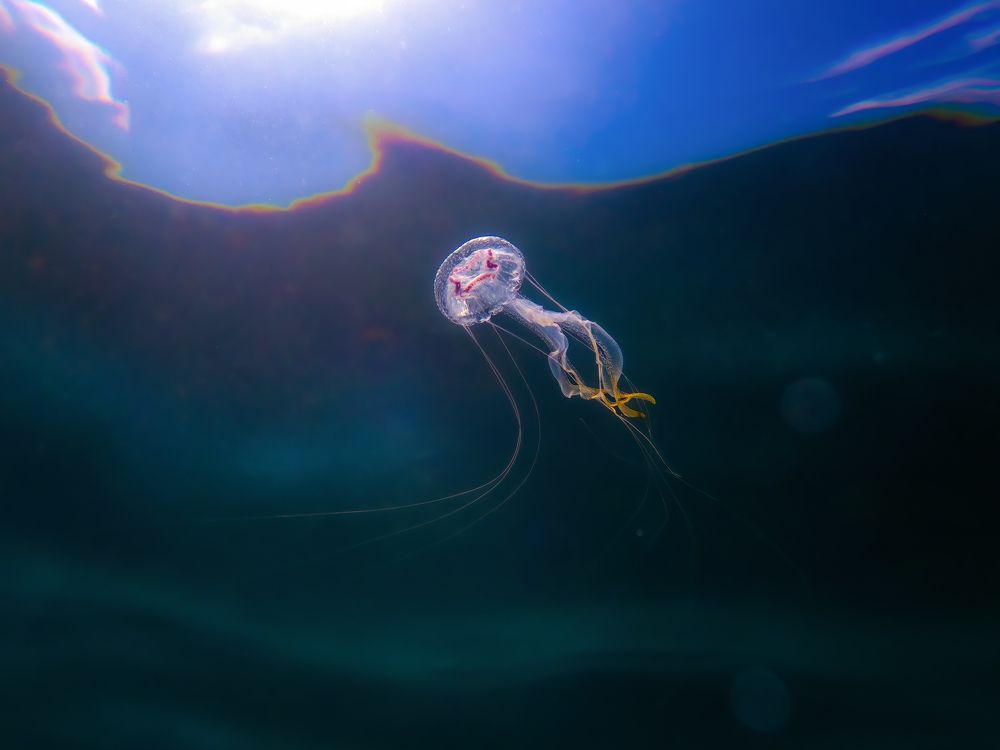 Photograph by Vo Rin