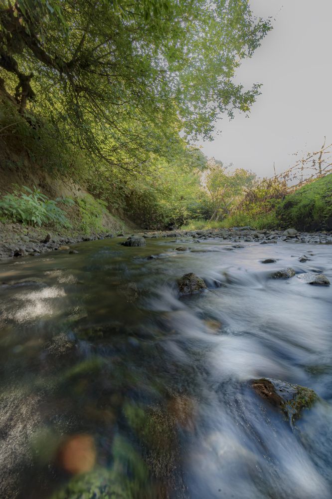 Photograph by Alireza Allamehzadeh