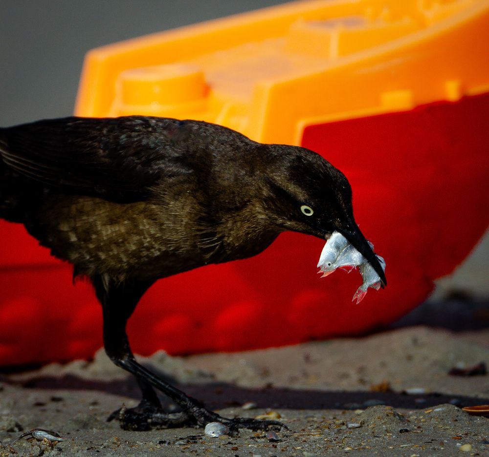 Photograph by Ethan Williams