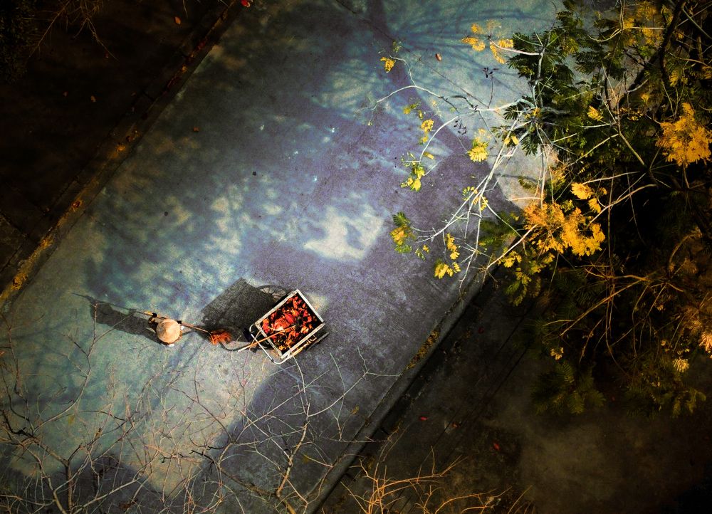 Фотография автора Minh Le (Lee)