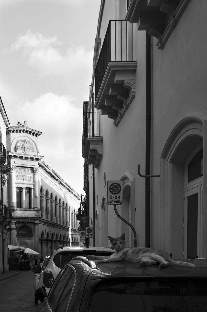 Photograph by Barbara Pindo