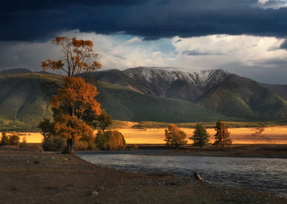 Photograph by Галина Хвостенко