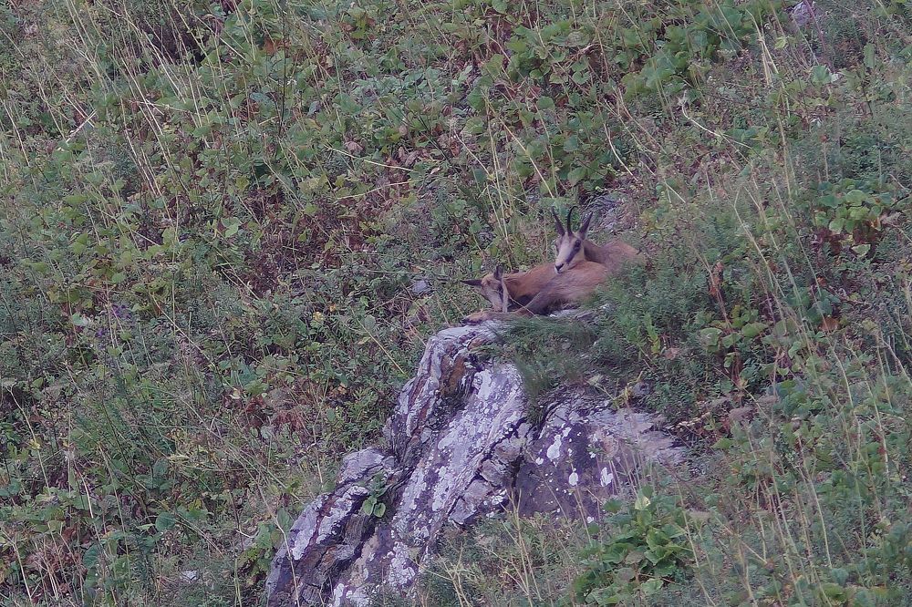 Photograph by Артём Пархоменко