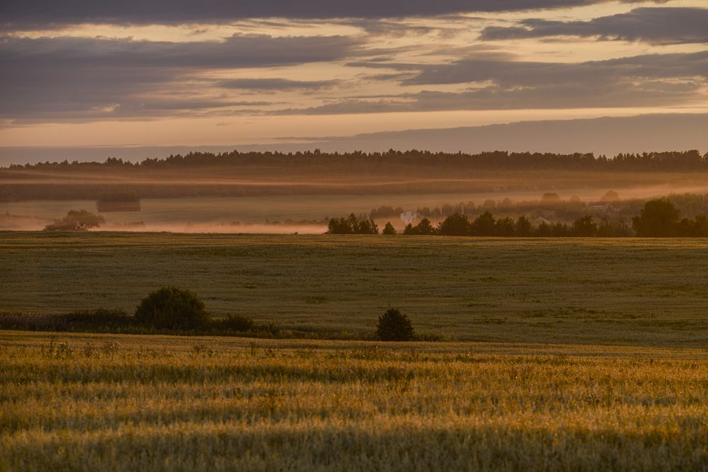 Фотография автора Марина Лукьянова