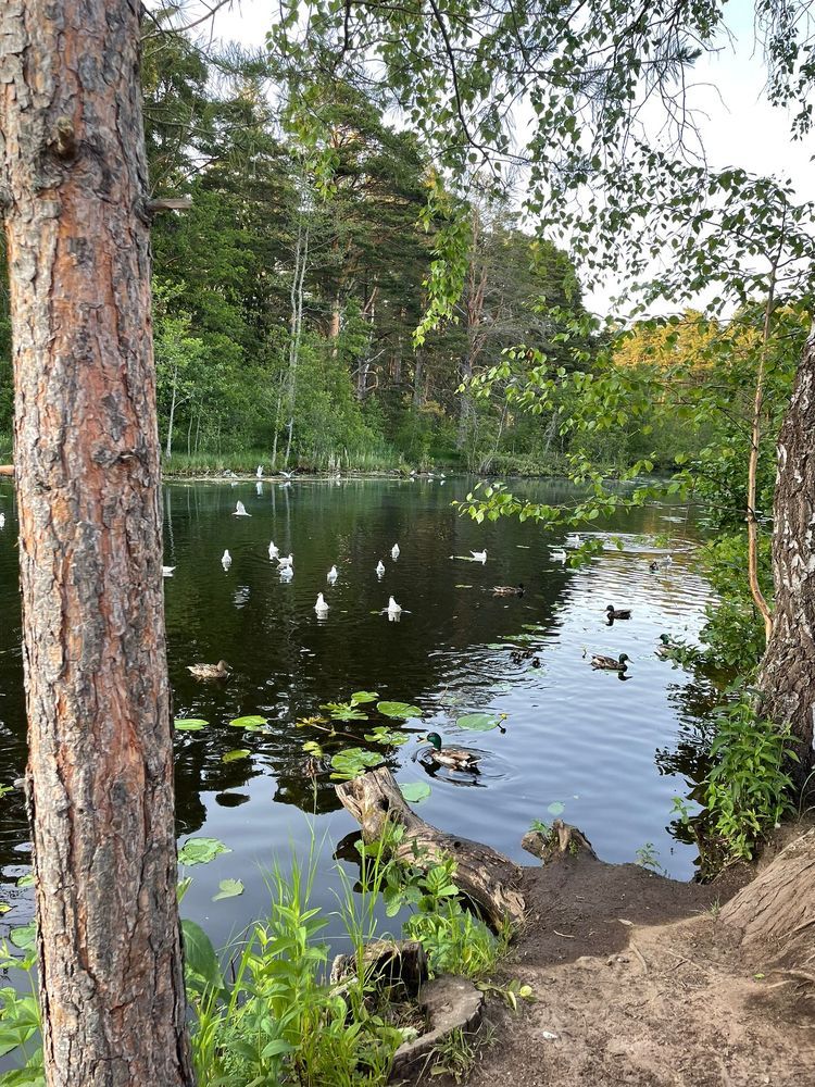 Photograph by Наталья Ткаченко