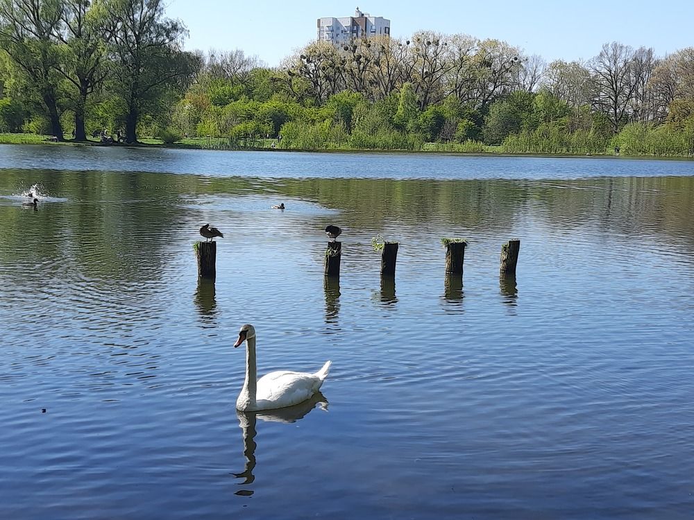 Photograph by Наталья Ткаченко