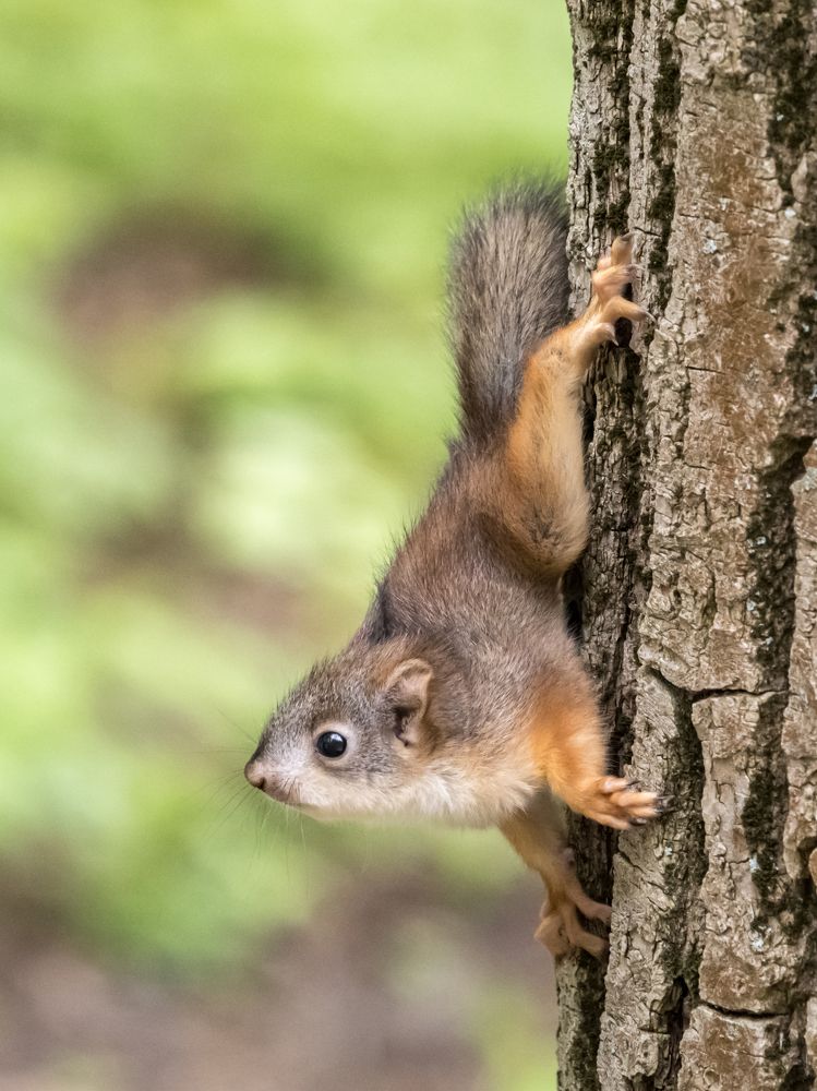 Photograph by Yury Fokin