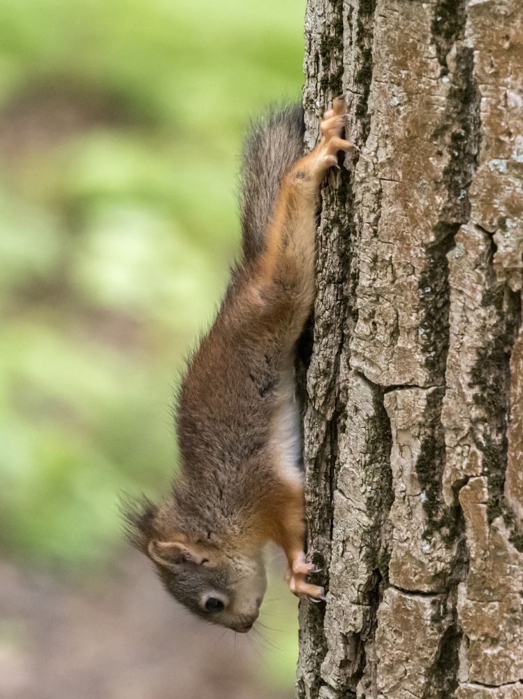 Photograph by Yury Fokin