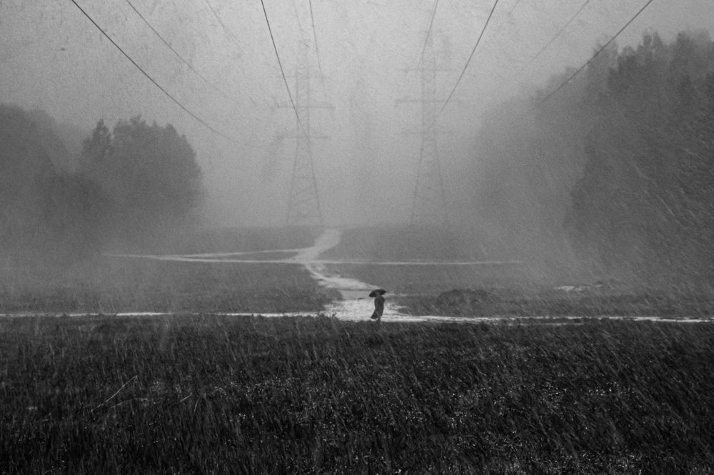 Photograph by Александр Малахов