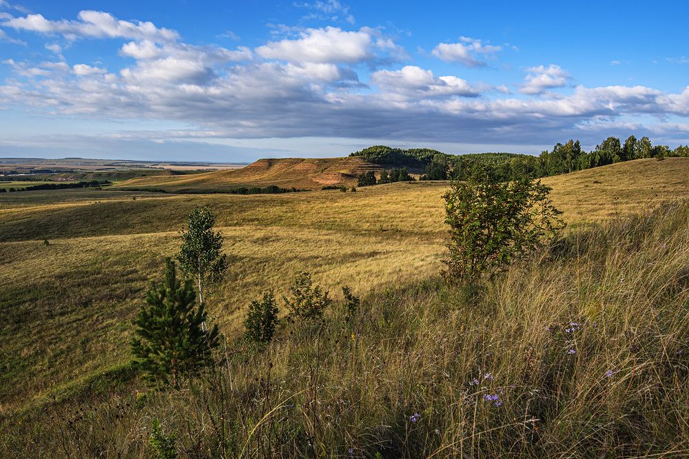 Photograph by Илфир Исламгазин