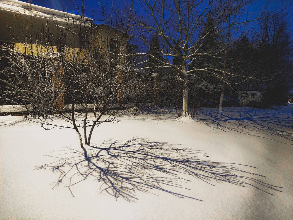 Фотография автора Ирина Гриценко