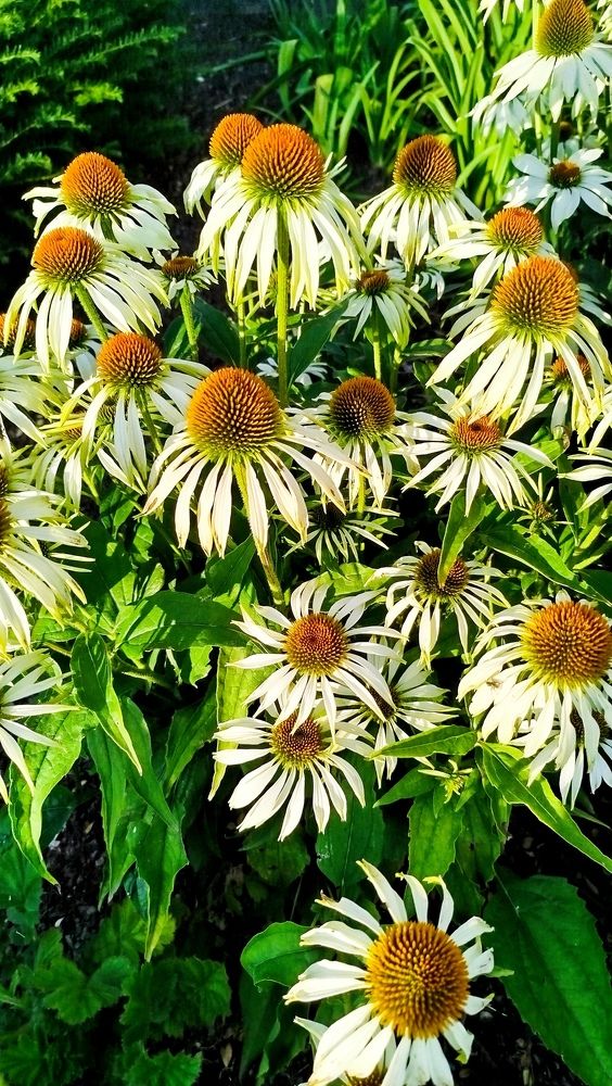 Photograph by Georgios Karathanasis