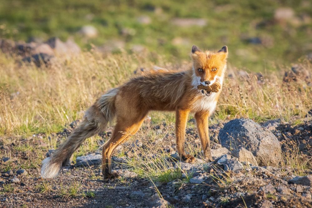Photograph by Бравичева Анастасия