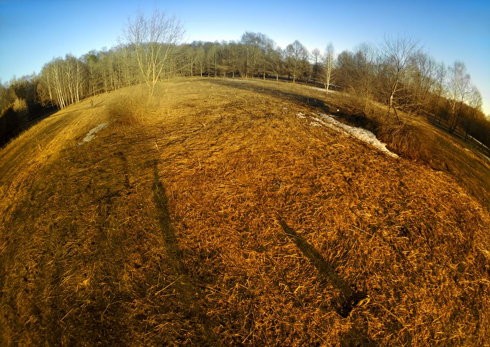 Photograph by Владислав Кравцов