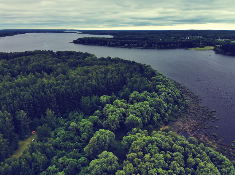 Photograph by Владислав Кравцов