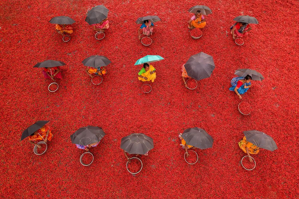 Beautiful Indian women workers in Red Carpet