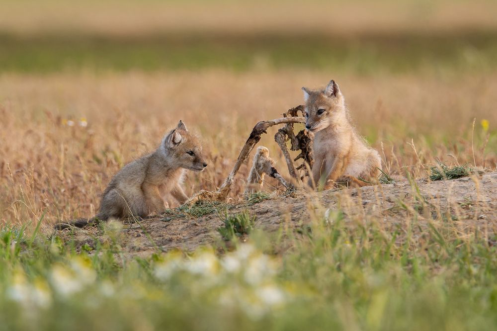 Photograph by Александр Ильин
