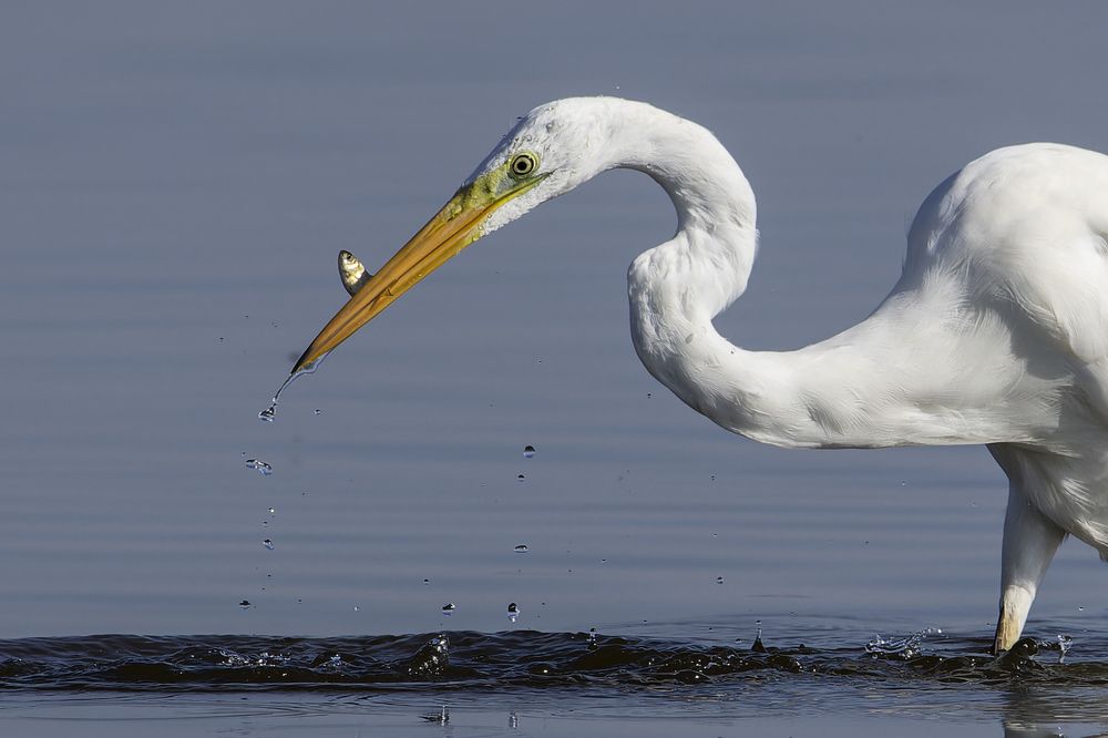 Photograph by Александр Ильин