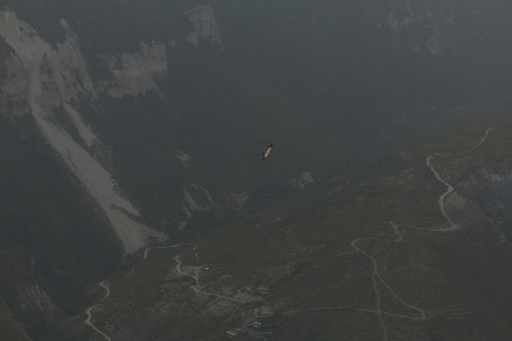 Photograph by Ирина Анцыгина