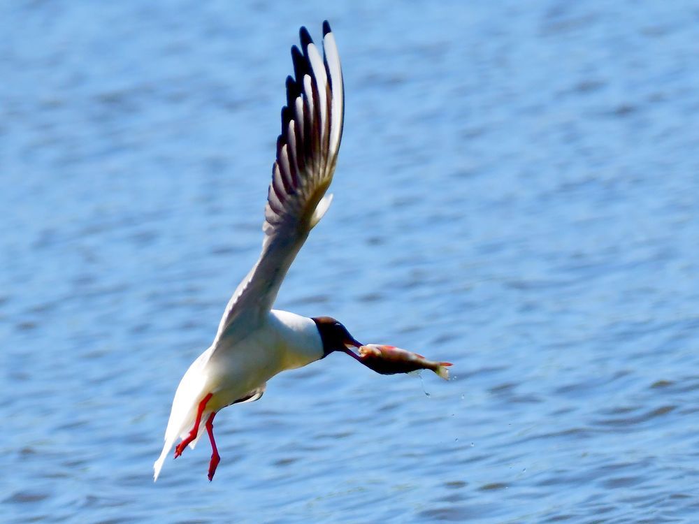 Photograph by Николай Абакумов