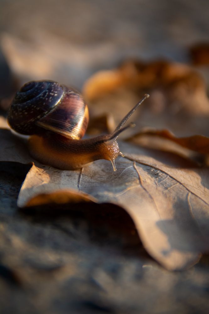 Photograph by Ольга