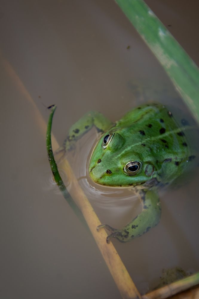 Photograph by Ольга