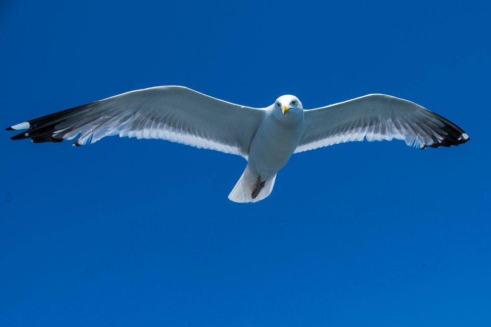 Photograph by Никита Борзов