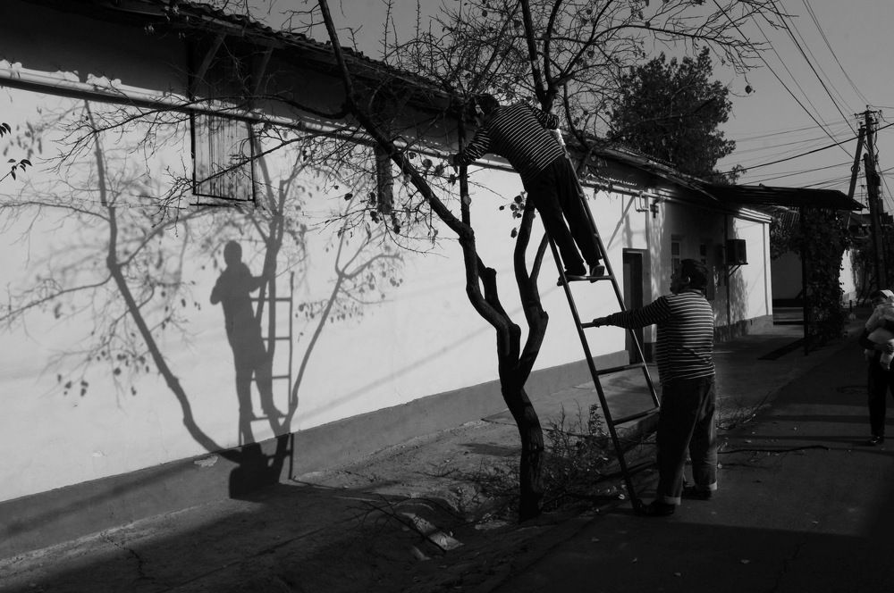 Фотография автора  SaidArt