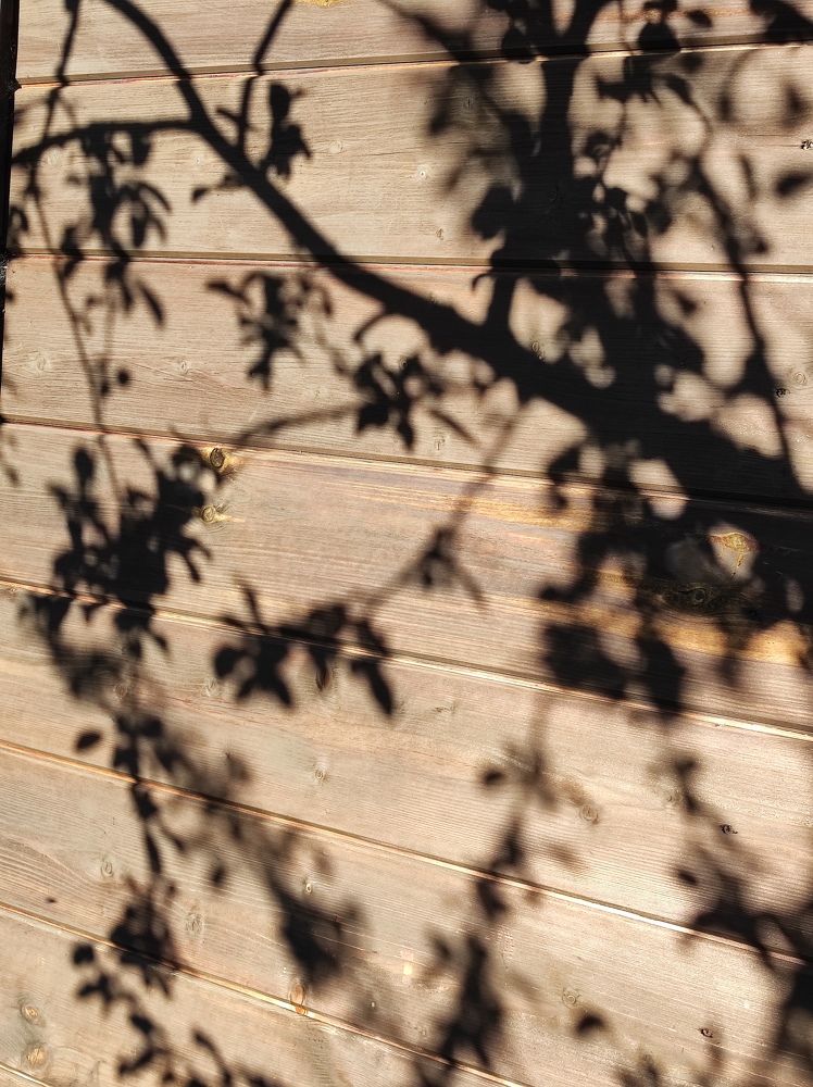 Фотография автора Татьяна Алексеева