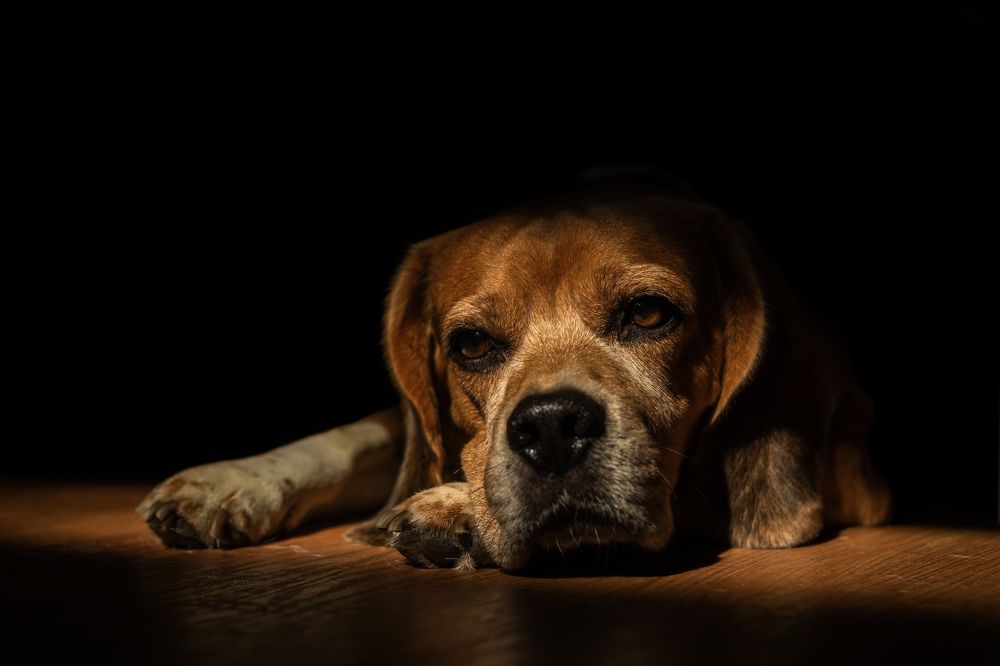 Photograph by Юлия Куликова