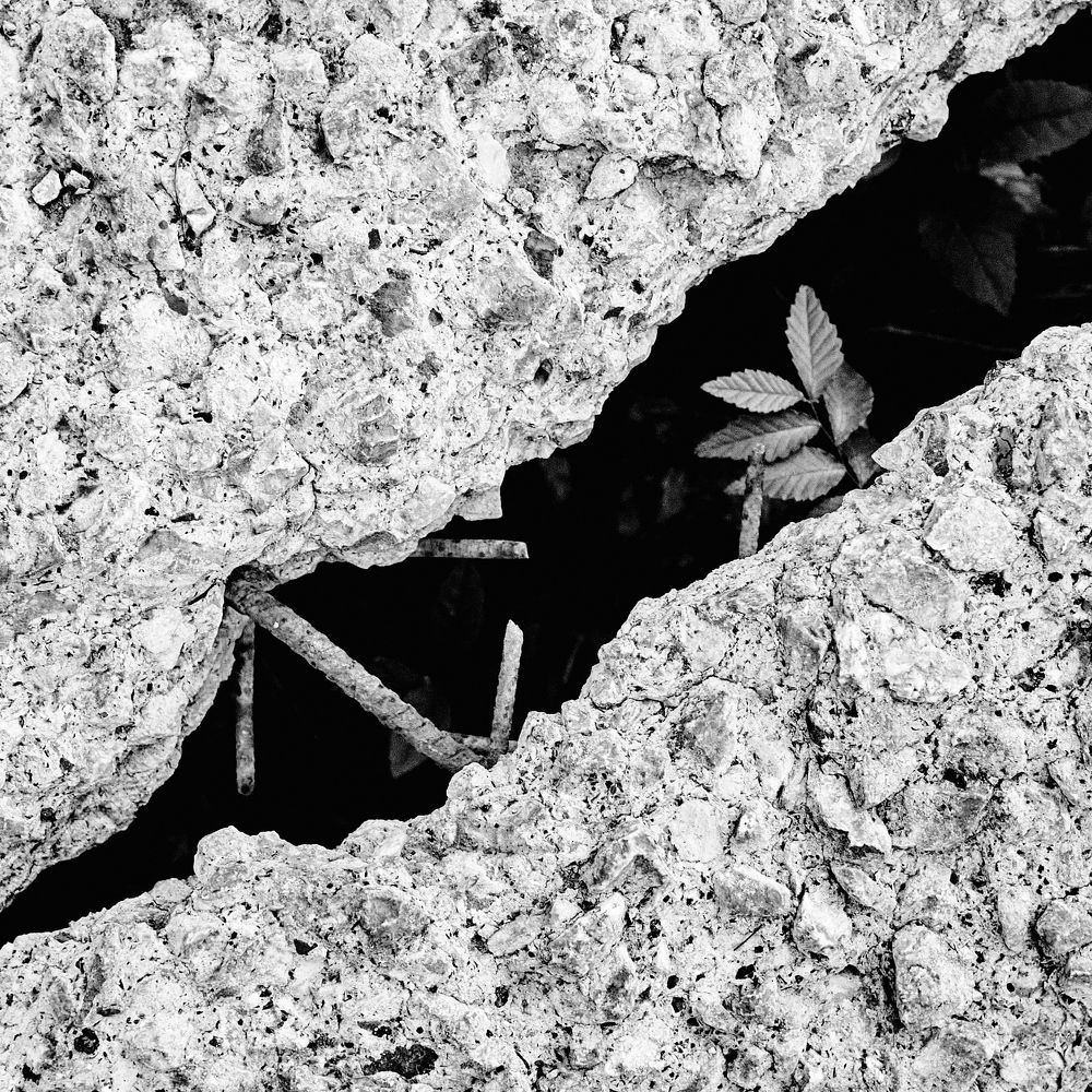 Photograph by Евгений Ласьков