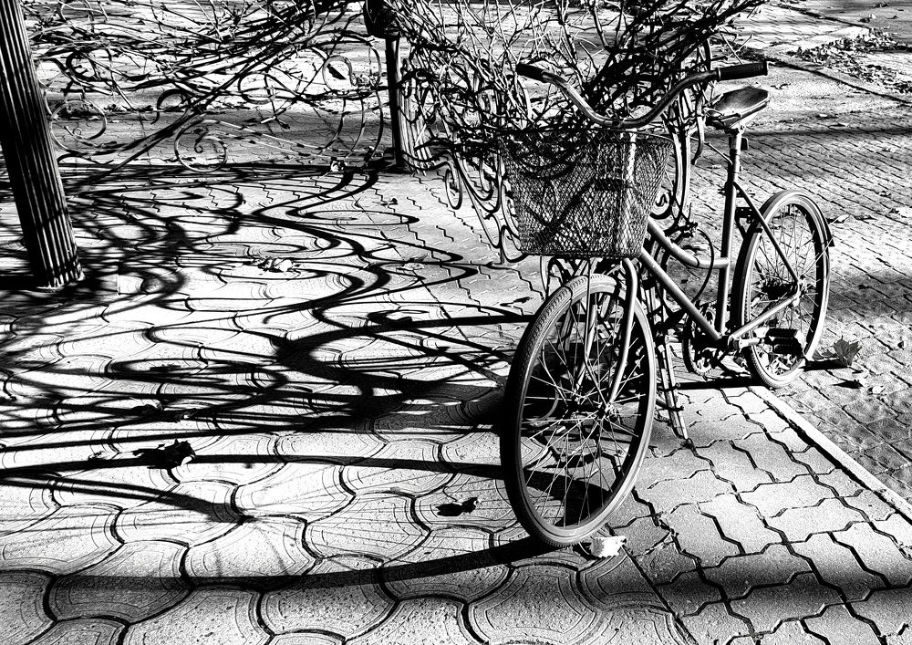 Фотография автора Igor Dyomin