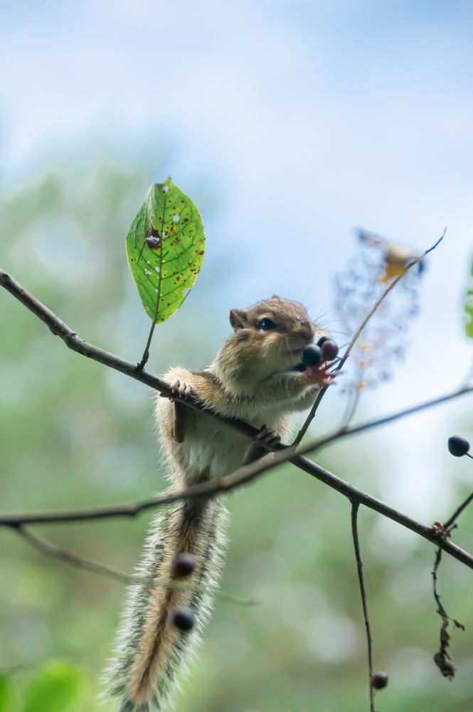 Photograph by Елизавета Корнилова