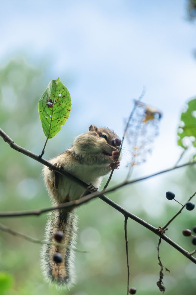 Photograph by Елизавета Корнилова