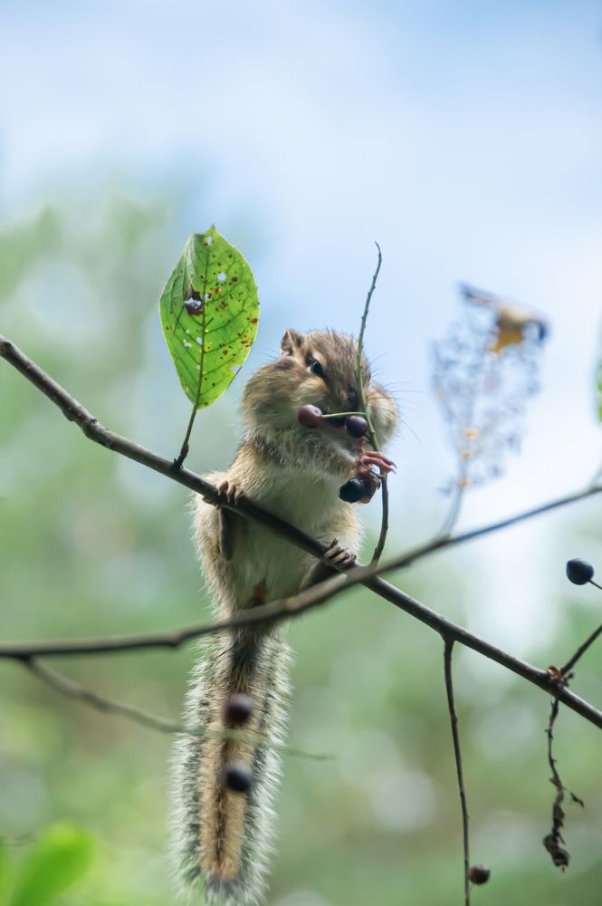 Photograph by Елизавета Корнилова