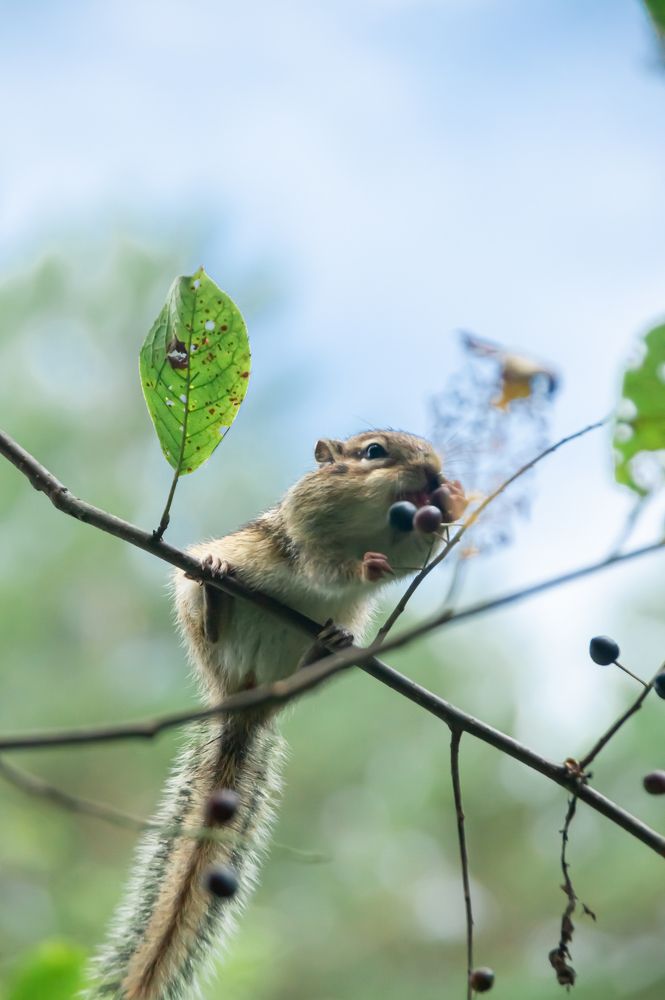 Photograph by Елизавета Корнилова