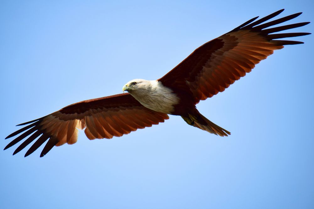 Photograph by Vimal Ram S