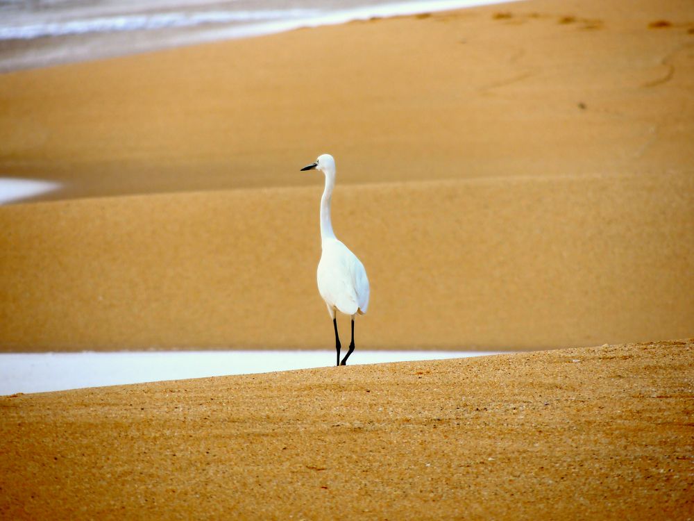 Photograph by Vimal Ram S