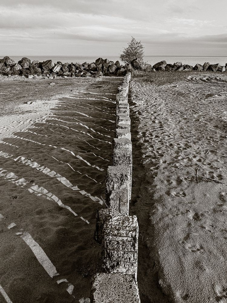 Photograph by Алина Бондарь