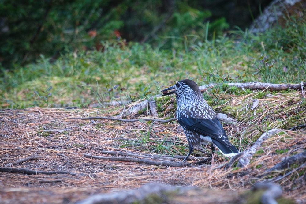 Photograph by Антон Бойков