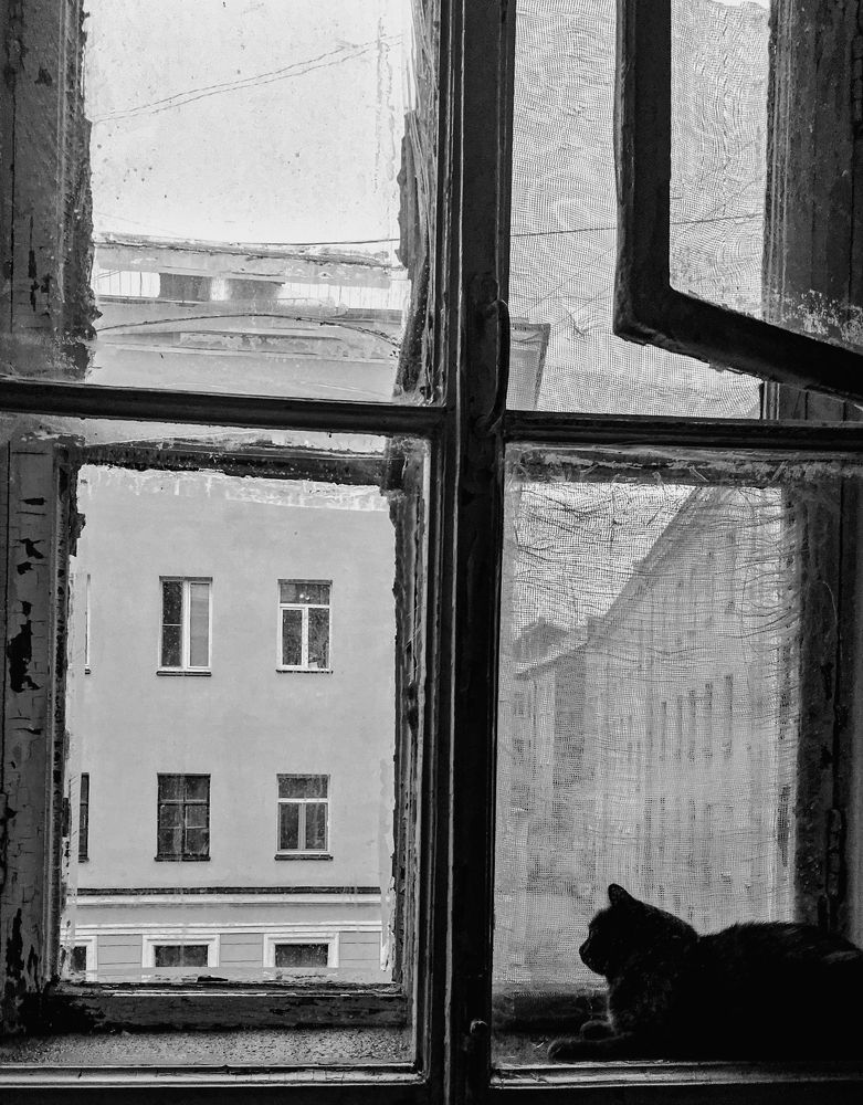 Photograph by Анна Федотова