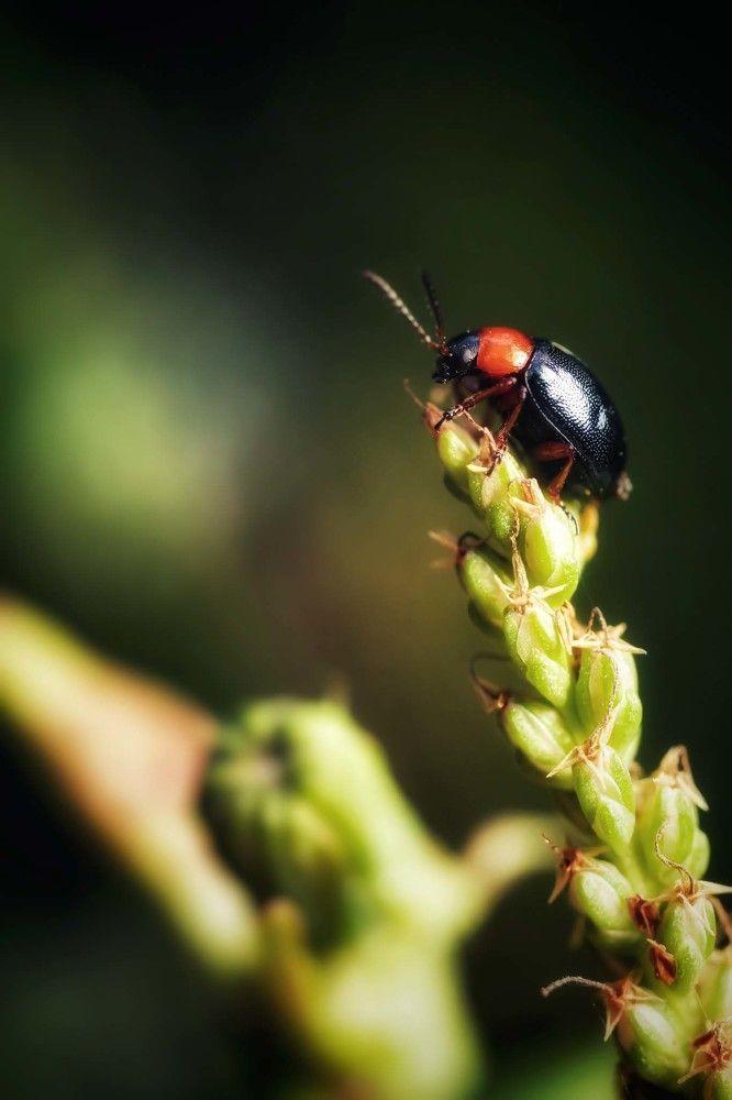 Photograph by Сергей Назаредский