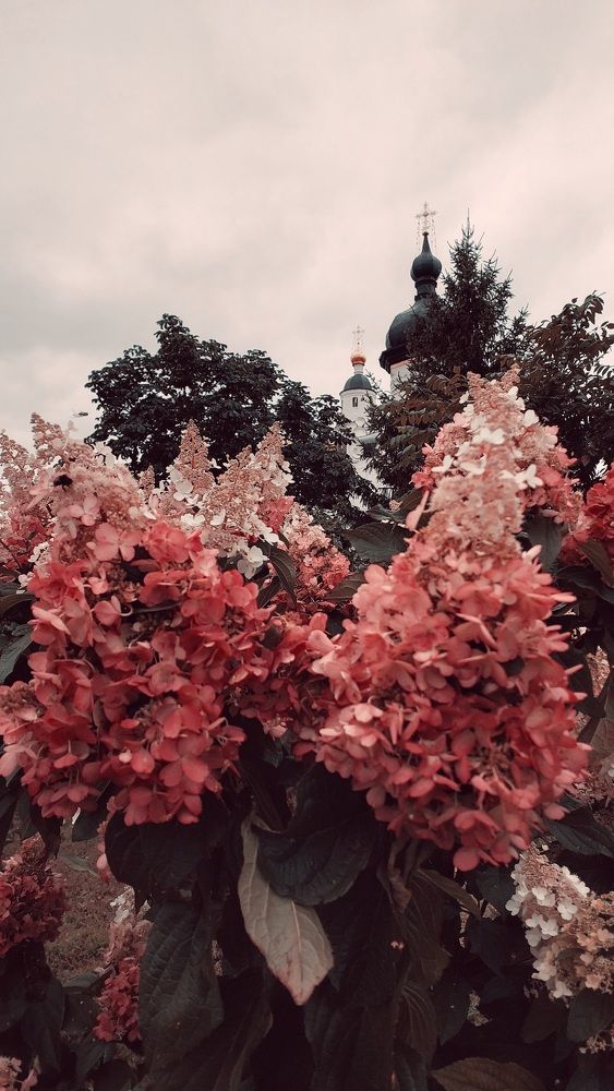 Photograph by Екатерина Шульцева